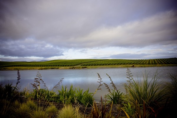 Yealands Estate Wetlands